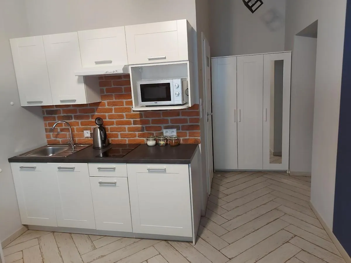 Juwel Uroczy Apartament 2B Stare Miasto Cracovie Appartement